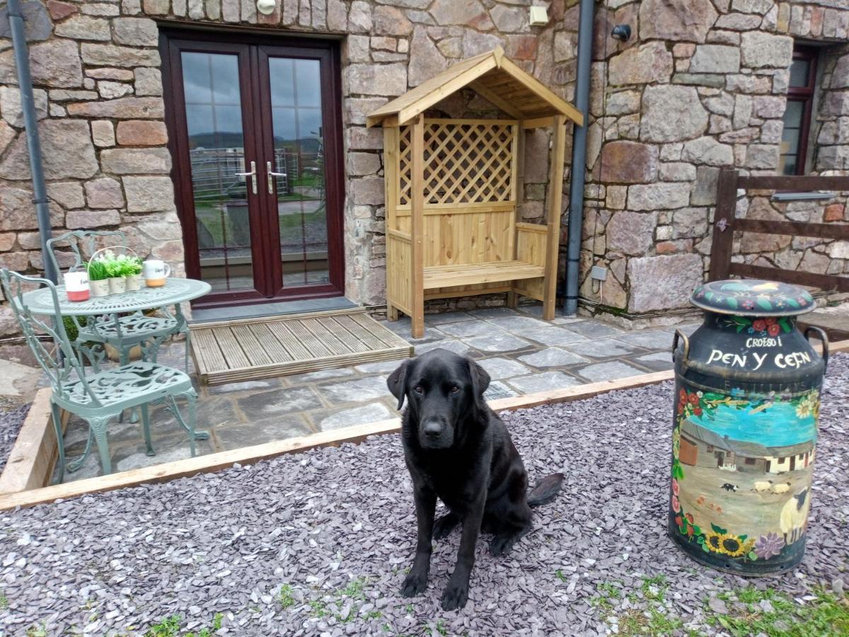 Conwy Pen Cefn Farm Abergele