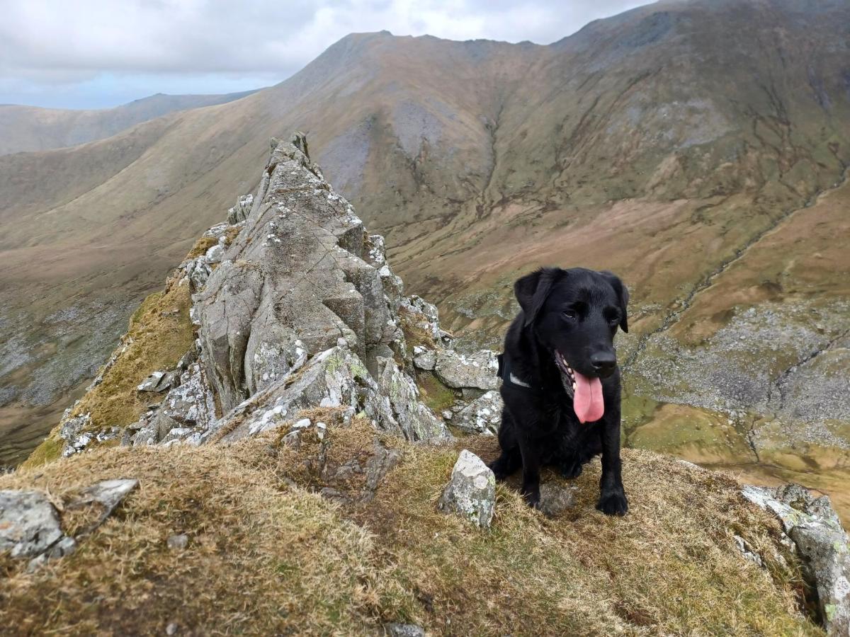 Conwy Pen Cefn Farm Farm stay *